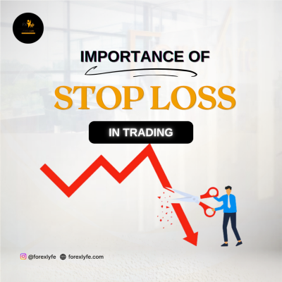 Importance of Stop Loss